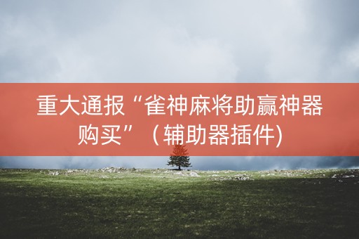 重大通报“雀神麻将助赢神器购买”（辅助器插件)