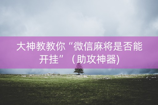 大神教教你“微信麻将是否能开挂”（助攻神器)
