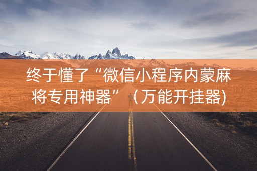 终于懂了“微信小程序内蒙麻将专用神器”（万能开挂器)