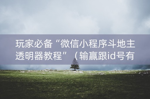 玩家必备“微信小程序斗地主透明器教程”（输赢跟id号有关系吗)