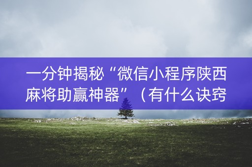 一分钟揭秘“微信小程序陕西麻将助赢神器”（有什么诀窍)