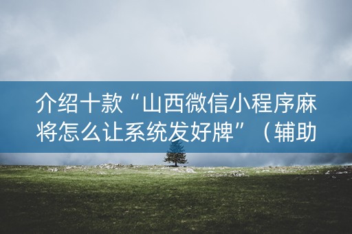介绍十款“山西微信小程序麻将怎么让系统发好牌”（辅助软件)