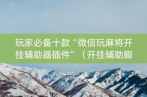 玩家必备十款“微信玩麻将开挂辅助器插件”（开挂辅助脚本)