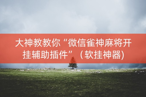 大神教教你“微信雀神麻将开挂辅助插件”（软挂神器)