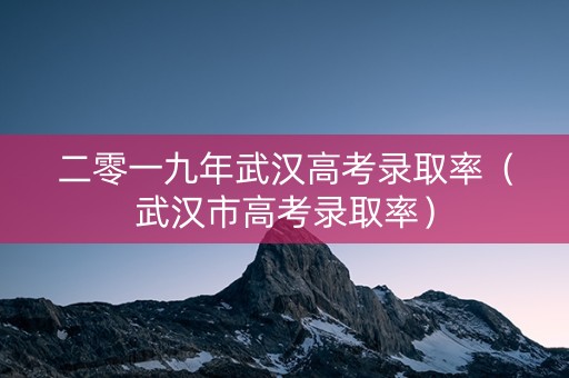 二零一九年武汉高考录取率（武汉市高考录取率）