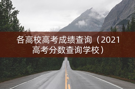 各高校高考成绩查询（2021高考分数查询学校）