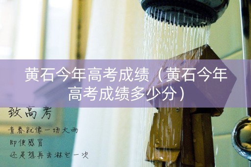 黄石今年高考成绩（黄石今年高考成绩多少分）