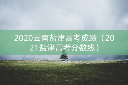 2020云南盐津高考成绩（2021盐津高考分数线）