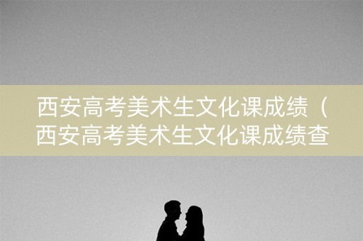 西安高考美术生文化课成绩（西安高考美术生文化课成绩查询）