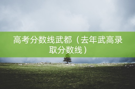 高考分数线武都（去年武高录取分数线）