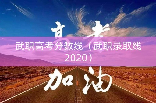 武职高考分数线（武职录取线2020）
