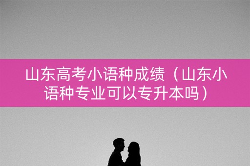 山东高考小语种成绩（山东小语种专业可以专升本吗）