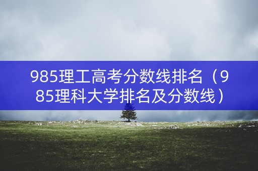 985理工高考分数线排名（985理科大学排名及分数线）