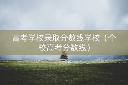高考学校录取分数线学校（个校高考分数线）