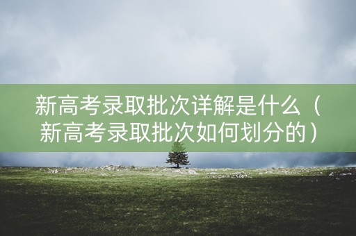 新高考录取批次详解是什么（新高考录取批次如何划分的）