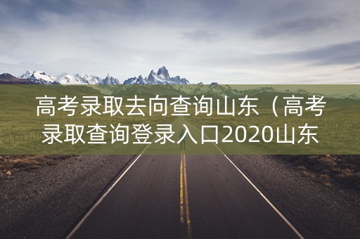 高考录取去向查询山东（高考录取查询登录入口2020山东）