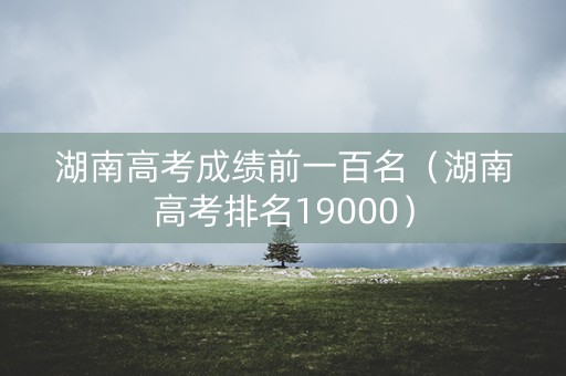 湖南高考成绩前一百名（湖南高考排名19000）