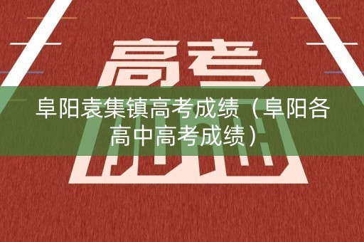 阜阳袁集镇高考成绩（阜阳各高中高考成绩）