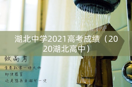 湖北中学2021高考成绩（2020湖北高中）