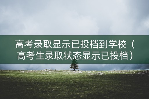 高考录取显示已投档到学校（高考生录取状态显示已投档）