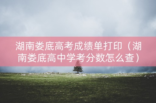 湖南娄底高考成绩单打印（湖南娄底高中学考分数怎么查）