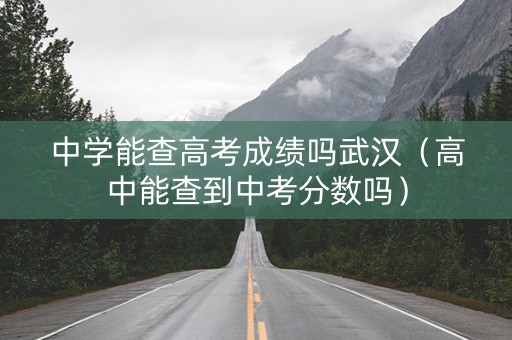 中学能查高考成绩吗武汉（高中能查到中考分数吗）