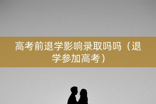 高考前退学影响录取吗吗（退学参加高考）