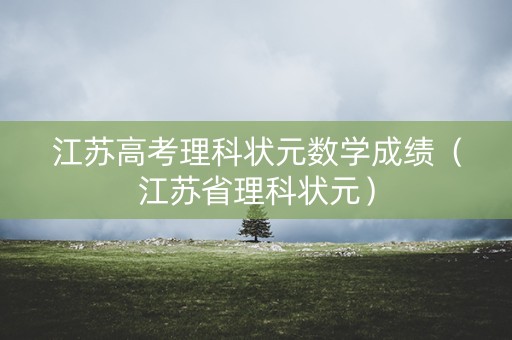 江苏高考理科状元数学成绩（江苏省理科状元）