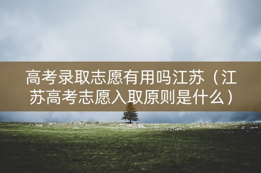 高考录取志愿有用吗江苏（江苏高考志愿入取原则是什么）