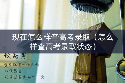 现在怎么样查高考录取（怎么样查高考录取状态）
