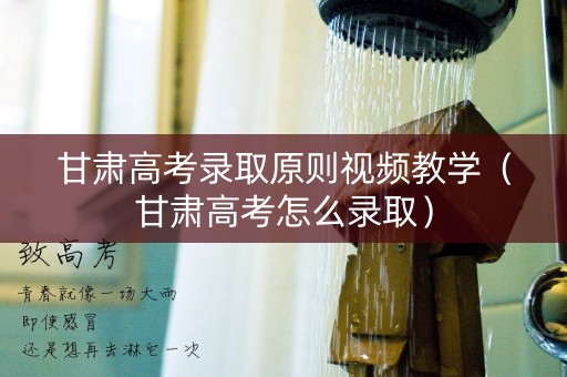 甘肃高考录取原则视频教学（甘肃高考怎么录取）