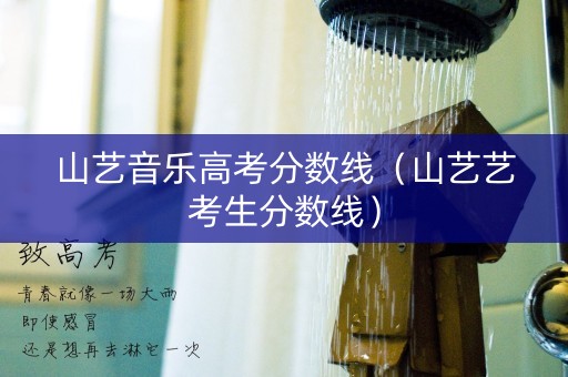 山艺音乐高考分数线（山艺艺考生分数线）