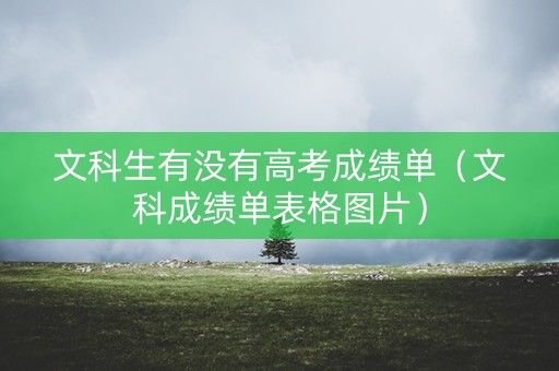 文科生有没有高考成绩单（文科成绩单表格图片）