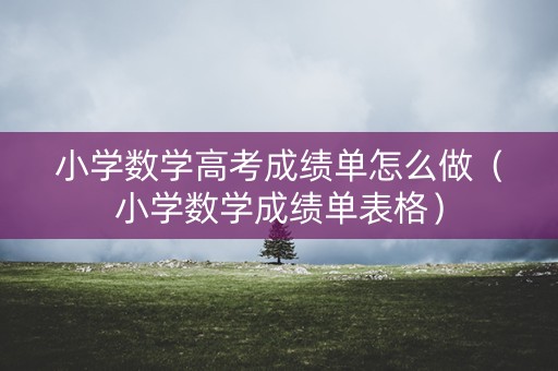 小学数学高考成绩单怎么做（小学数学成绩单表格）
