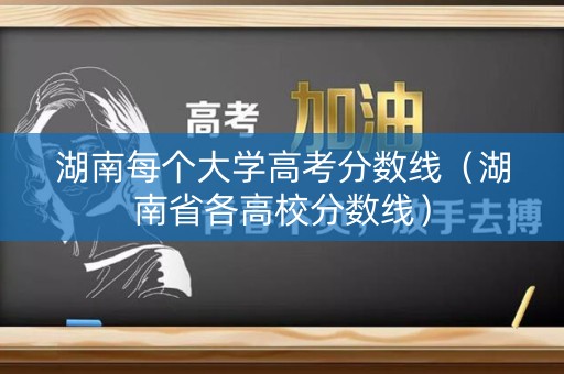 湖南每个大学高考分数线（湖南省各高校分数线）