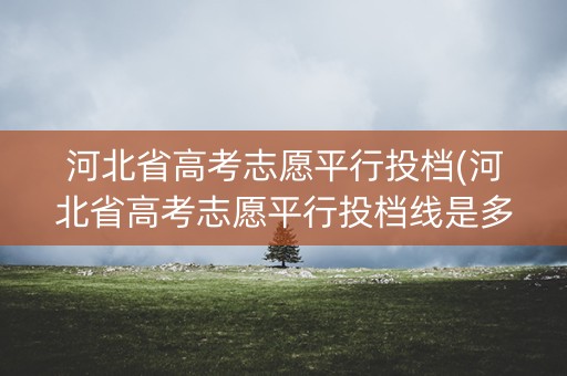 河北省高考志愿平行投档(河北省高考志愿平行投档线是多少) 河北省高考志愿平行投档(河北省高考志愿平行投档线是多少)