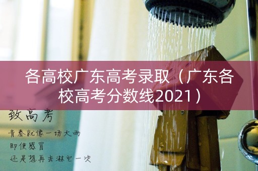 各高校广东高考录取（广东各校高考分数线2021）