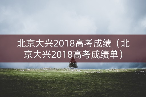北京大兴2018高考成绩（北京大兴2018高考成绩单）