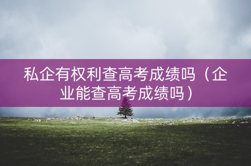 私企有权利查高考成绩吗（企业能查高考成绩吗）