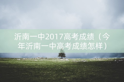 沂南一中2017高考成绩（今年沂南一中高考成绩怎样）