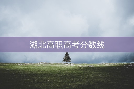湖北高职高考分数线