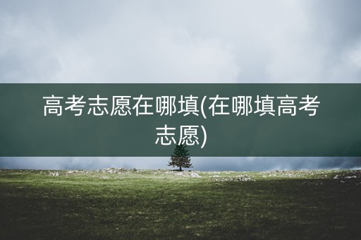 高考志愿在哪填(在哪填高考志愿) 高考志愿在哪填(在哪填高考志愿)