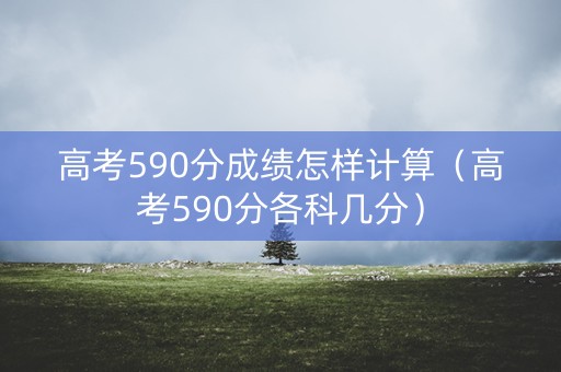 高考590分成绩怎样计算（高考590分各科几分）