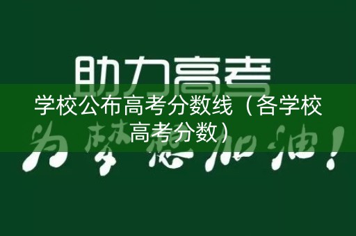 学校公布高考分数线（各学校高考分数）