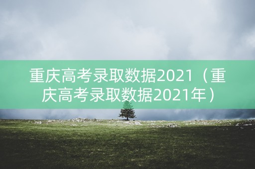 重庆高考录取数据2021（重庆高考录取数据2021年）