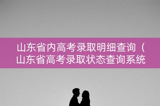 山东省内高考录取明细查询（山东省高考录取状态查询系统）