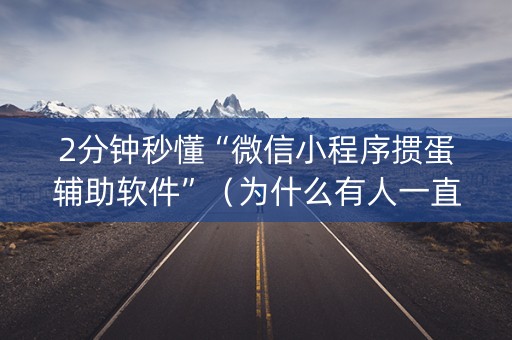 2分钟秒懂“微信小程序掼蛋辅助软件”（为什么有人一直赢)