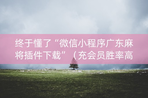终于懂了“微信小程序广东麻将插件下载”（充会员胜率高)