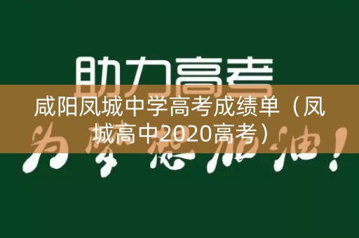 咸阳凤城中学高考成绩单（凤城高中2020高考）