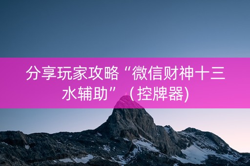 分享玩家攻略“微信财神十三水辅助”（控牌器)